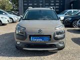 Citroën C4 Cactus Rip Curl PDC/Kam./Pano - gebrauchte Citroën C4 Cactus aus dem Jahr 2016