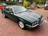 Jaguar XJ 8 3,2 V8 Modell X308 - Jaguar XJ8: 3.2