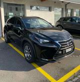Lexus NX 300H - Lexus NX 350h SUV