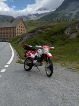 Yamaha XT 600 Tenere  - YAMAHA XT 600