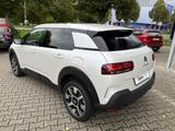 Citroën C4 Cactus PureTech 130 Stop&Start Shine Panorama - Citroën C4 Cactus Gebrauchtwagen