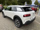 Citroën C4 Cactus PureTech 130 Stop&Start Shine Panorama - Citroën C4 Cactus