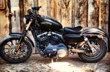 Harley-Davidson Iron 883 XL883N Sportster matt Schwarz - HARLEY-DAVIDSON SPORTSTER XL 883 N IRON