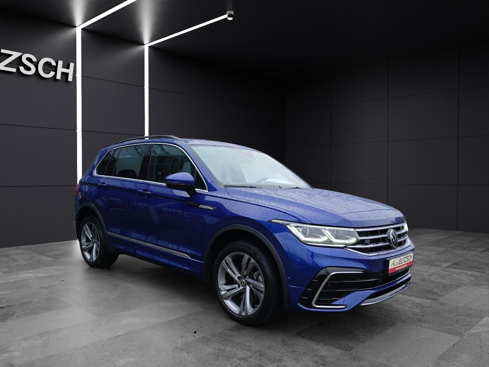 Fahrzeugabbildung Volkswagen Tiguan TDI R-Line DSG 4M STH Matrix AHK ACC RFK