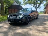 Mercedes-Benz CLK 500 Cabrio AMG Paket/Bose - Mercedes-Benz CLK 500: AMG