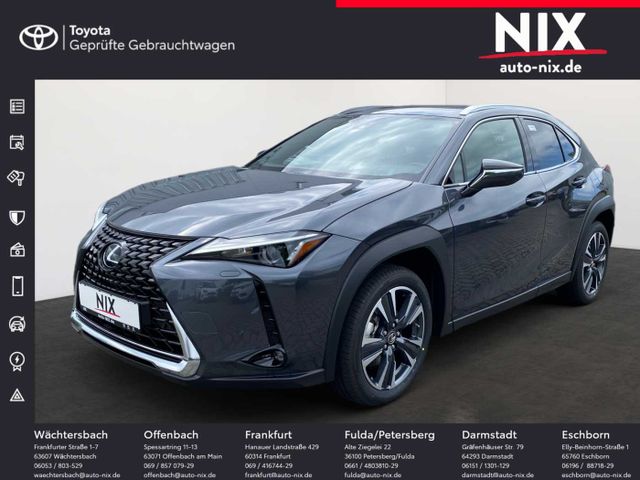 Lexus UX 250h Executive Line SCHIEBEDACH PREMIUM PAKET