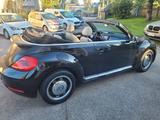 Volkswagen Beetle Cabriolet 50´s Design BMT TDI - Volkswagen Beetle 5C