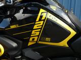 BMW R 1250 GS 40 Years mit Wunderlich Ausstattung - BMW 40
