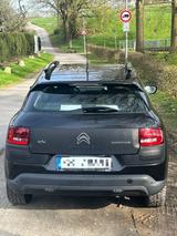 Citroën C4 Cactus PureTech 82 Business Class Busines... - gebrauchte Citroën C4 Cactus aus dem Jahr 2016