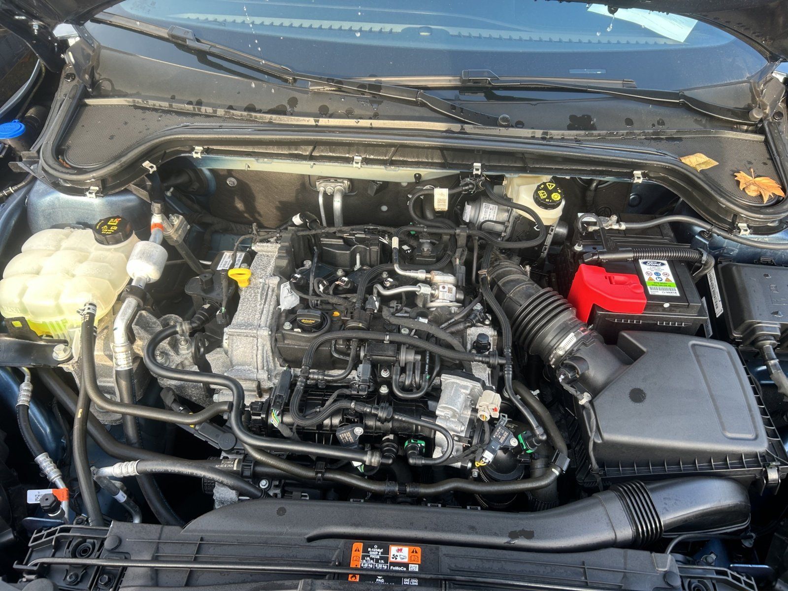 Fahrzeugabbildung Ford Focus 1.0 EcoBoost Mild-Hybrid ST-Line S/S