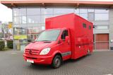 Mercedes-Benz Sprinter II 311 CDI Steinsberger Pferdetranporte - Tier-/Pferdetransport Steinsberger