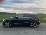 Audi SQ5 3.0 TDI BiTurbo quattro  313 PS  Voll - Audi SQ5 in Düsseldorf