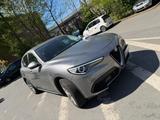Alfa Romeo Stelvio 2.0 Turbo 16V 206kW First Edition AT... - Alfa Romeo Stelvio First-Edition mit Benzin-Antrieb