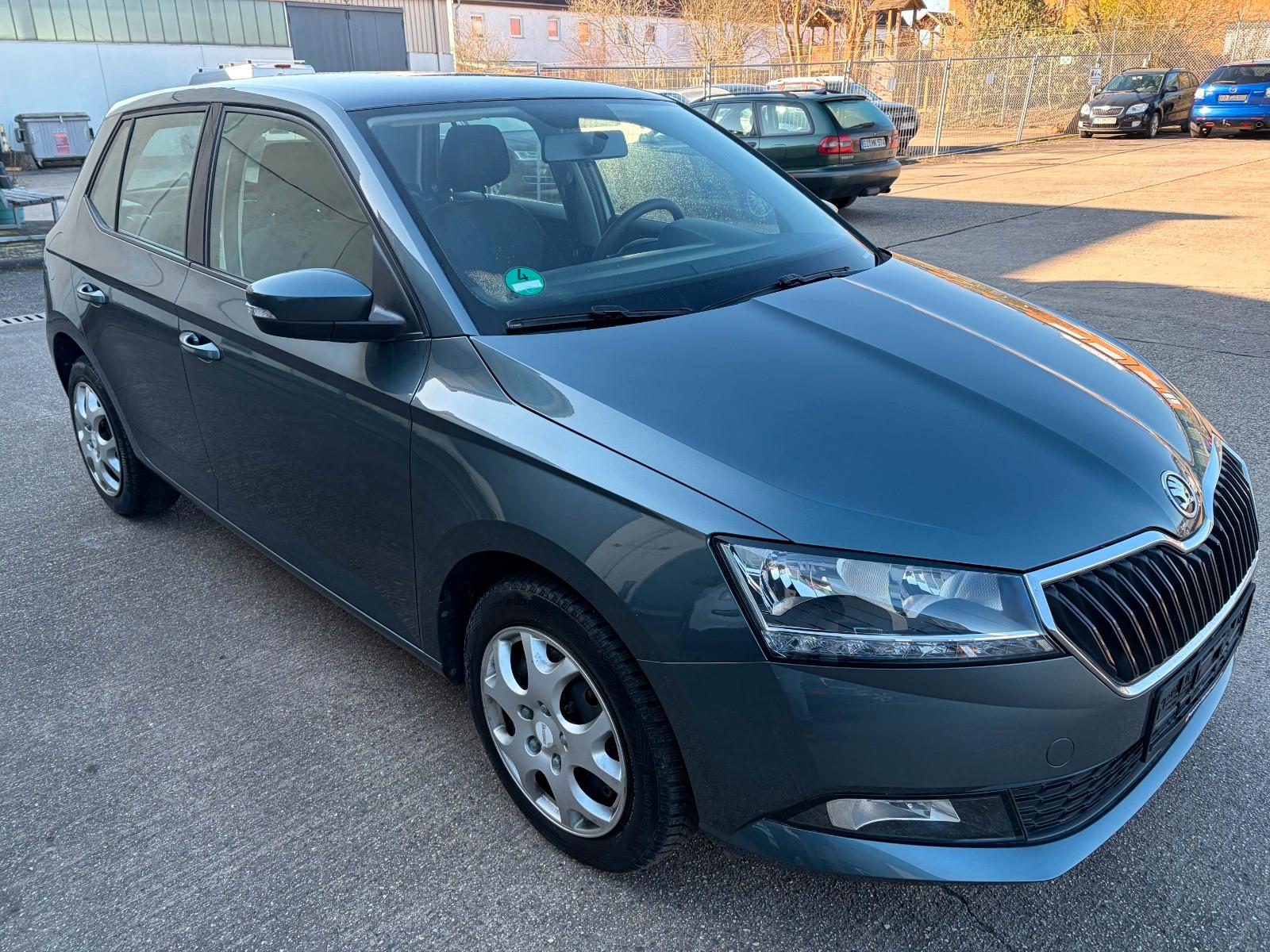 Skoda Fabia Cool Plus**1.HAND*TÜV NEU**