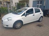 Fiat Punto EVO 1.2 TÜV neu - Fiat Punto Evo in Hannover