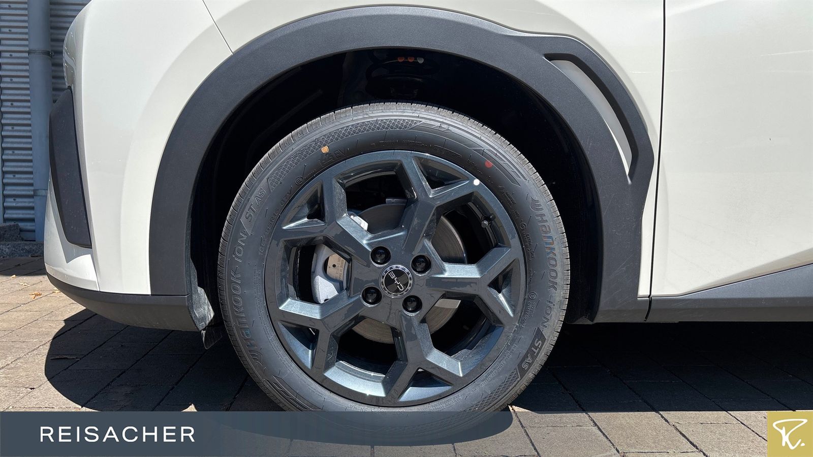 BYD DOLPHIN SURF