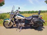 Honda Shadow VT750 RC44 American Classic Edition - Angebote entsprechen deinen Suchkriterien