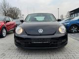 Volkswagen Beetle TSI 1.2 | SHZ | KLIMA - gebrauchte VW Beetle aus dem Jahr 2013