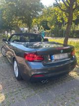 BMW 220d Cabrio - M Paket - AHK - BMW 220 in Stuttgart
