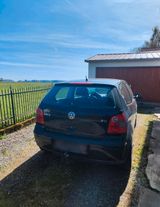 Volkswagen VW Polo 1.9 TDI 74 kw - Volkswagen Polo aus 2004 mit Diesel-Antrieb