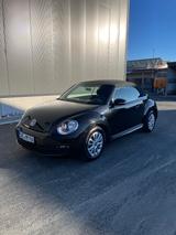 Volkswagen Beetle 1.2 TSI BMT Cabriolet - - Volkswagen Beetle
