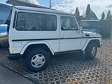 Mercedes-Benz Mercedes G 270 CDI kurz Leder Garagenfahrz... - Mercedes-Benz G 270: Cdi