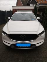 Mazda Auto, Rad & Boot - Boot gebraucht