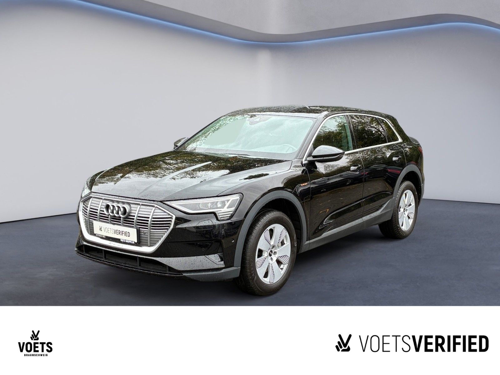 Audi e-tron S Line  50 quattro RearView+LED+B&O