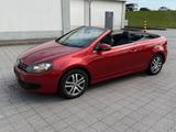 Volkswagen Golf 2.0 TDI Exclusive BMT Cabriolet - Volkswagen Golf mit Diesel-Antrieb: Cabrio, Automatik