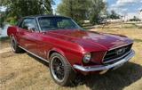 Ford Mustang 67 V8 289inch TÜV/H - Ford: 289