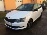 Skoda Fabia R5   1.Hand 1.4 TSI DSG  Navi Kamera SHZ M - Skoda Fabia R5