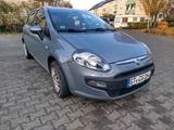 Fiat Punto mit TÜV neu bis 11.2027 - Fiat Punto: 11