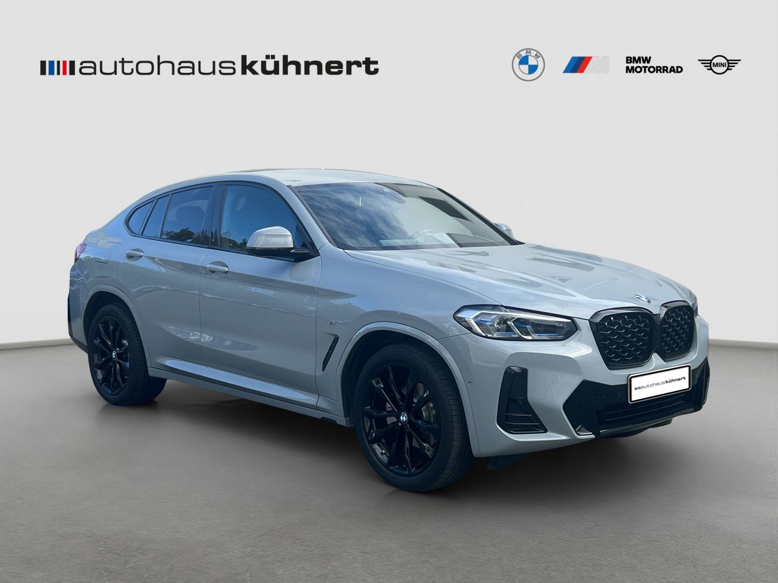 BMW X4 xDrive20i M-Sport Laser SpurAss Navi ParkAss foto 9