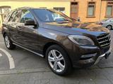 Mercedes-Benz ML 250 BlueTEC 4MATIC -CDI BlueTec  - Mercedes-Benz ML 250 in Duisburg
