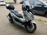 Honda Forza 300, ABS, Thermoscud, Topcase, neue Reifen - Offers matching your search criteria