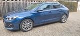 Hyundai Hyndai  i30 1.4 T-GDI DCT FastbackTrend - Hyundai i30 mit Benzin-Antrieb: Sportwagen, Automatik