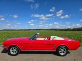 Ford Mustang Cabrio Restauriert 