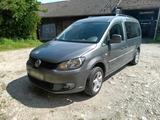 Volkswagen VW Caddy Maxi Roncalli 1,6 TDI - Volkswagen Caddy Maxi aus 2011