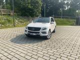 Mercedes-Benz ML 250 BlueTEC 4MATIC - - Mercedes-Benz ML 250 aus 2015