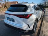 Lexus 350h E-FOUR LuxuryLine HUD MarkLevinson 4x4 - Lexus NX Series: Privatanbieter