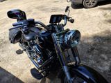 Harley-Davidson Fatboy FLSTF - Offers matching your search criteria