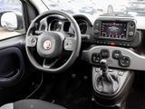 Fiat Panda EU6d 1.0 Mild Hybrid City Plus DAB+ - Fiat Panda: Eu