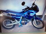 Honda NX 250 - Angebote