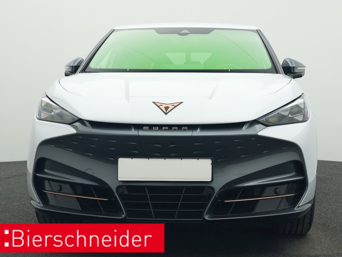 Cupra Tavascan - Bild 10