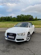 Audi A5 1.8 TFSI Cabriolet / S-Line / RS-Felgen  - Audi A5: RS