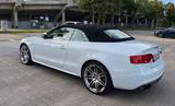 Audi S5 3.0 TFSI S tronic quattro Cabriolet - - Audi S5 in Duisburg