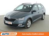 Skoda Fabia 1.0 TSI Style*TEMPO*PDC*AHK* - Skoda Fabia Gebrauchtwagen in Frankfurt