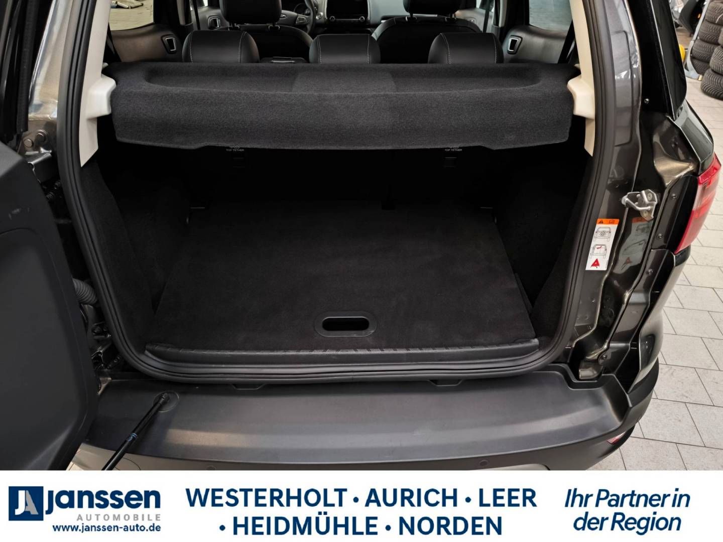 Fahrzeugabbildung Ford ECOSPORT 1.0 EcoBoost Aut. TITANIUM