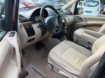 Mercedes Viano - 10