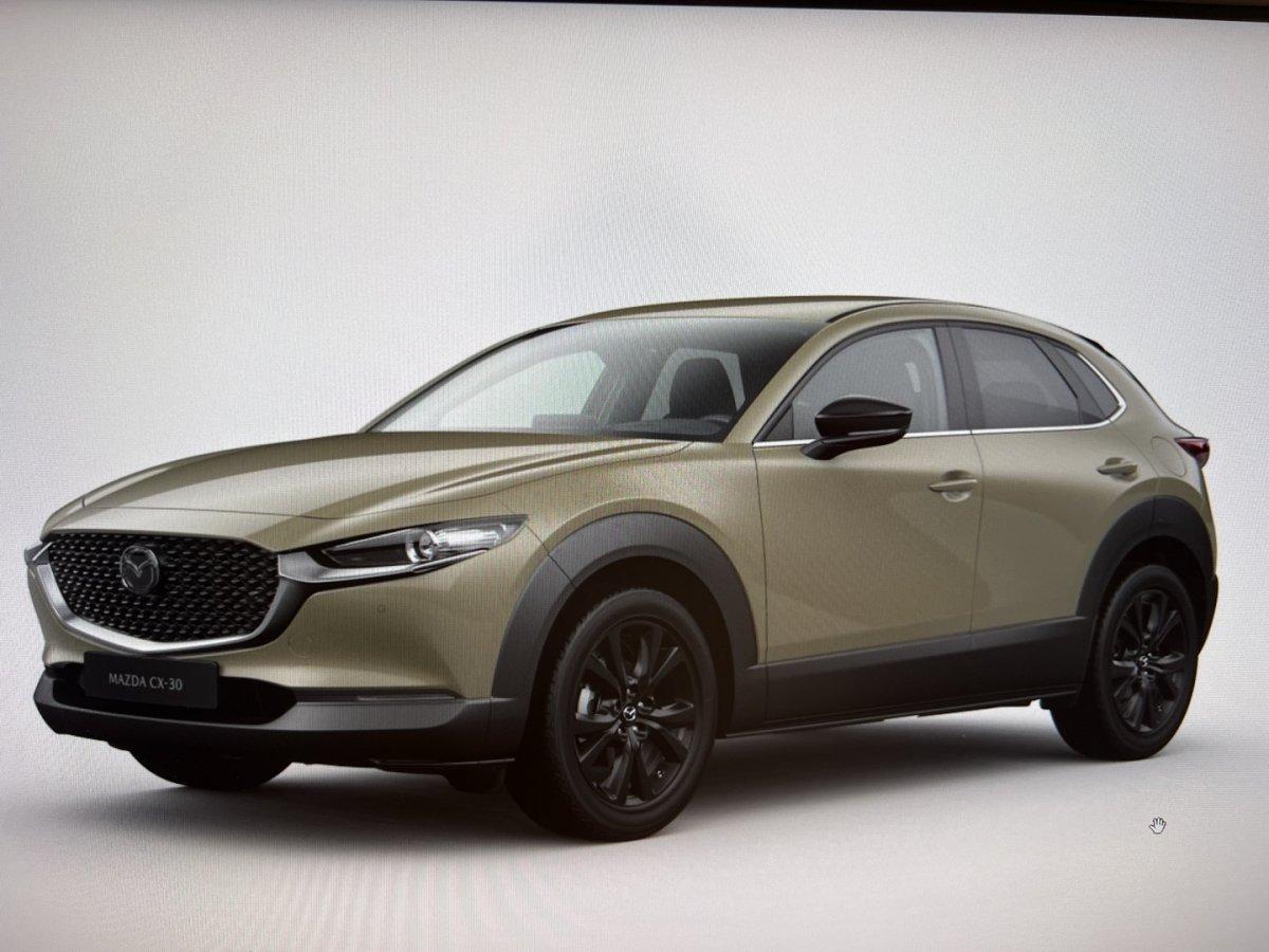 Mazda CX-30 2.5 e-SKYACTIV G 140ps 6AT FWD Homura